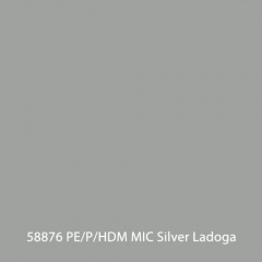 58876-PEPHDM-MIC-Silver-Ladoga
