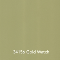 34156-Gold-Watch
