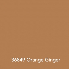 36849-Orange-Ginger