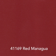 41169-Red-Managua