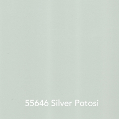 55646-Silver-Potosi